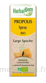 Herbalgem Propolis Large Spectre Solution Buvable Bio Spray/15ml à QUETIGNY